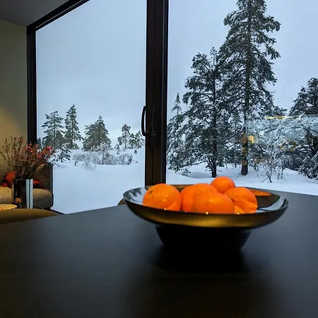 Дом отдыха Modern By Snohetta At Blefjell Свене