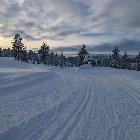 Modern By Snohetta At Blefjell