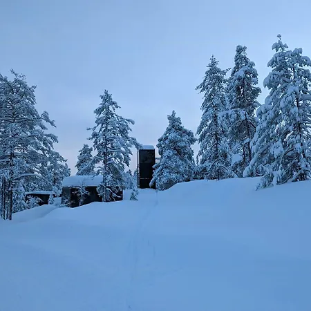 Дом отдыха Modern By Snohetta At Blefjell Свене