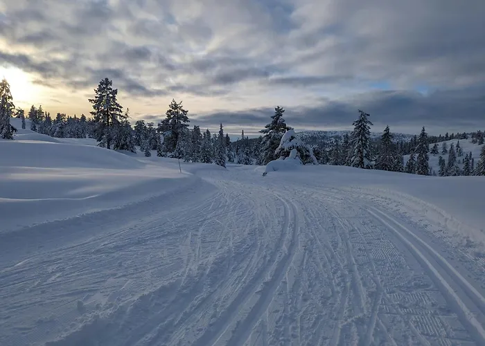 Modern By Snohetta At Blefjell