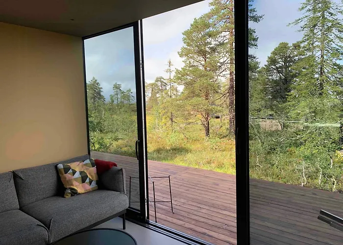 Modern By Snohetta At Blefjell * Svene